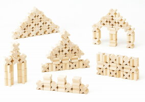 X-BLOCKS100セレクタエックス・ブロックス木のおもちゃ