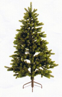 【ベツレヘムの銀の星1個付き）シュヴァルツヴァルトツリー150cmヌードツリー　正規輸入品　クリスマスツリー　RS GLOBAL TRADE社（Tanne Schwarzwald）アトリエニキティキ