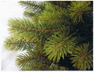 【2022年10月入荷予定】クリスマスツリー150cm【オーナメントは別売り】正規輸入品　RS GLOBAL TRADE社（PLASTIFLOR社）アトリエニキティキ