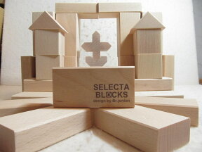 BLOCKS・スターターセット・小 　セレクタ ブロックス　木のおもちゃ