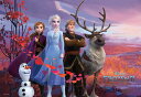 テンヨー ディズニー アナと雪の女王2 秘密をめぐる物語 1000ピース ジグソーパズル(3)