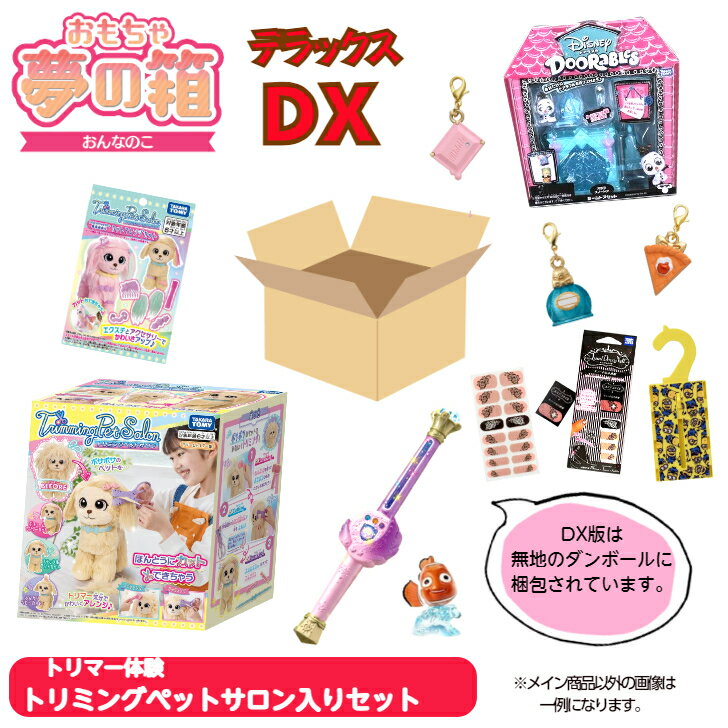 おもちゃ 夢の箱DX 女の子 トリミングペットサロン入りセット 福袋 福箱 詰め合わせ イベント お祭り 景品 子供会 くじ くじ引き 運試し 縁日用品 学園祭 PTA 玩具 女の子 おもちゃ屋さんの倉庫 プレゼント【売れ筋】