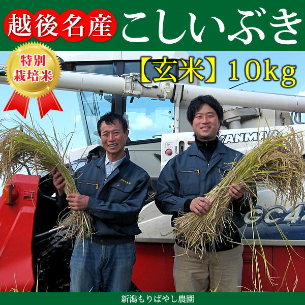 こだわり特別栽培米こしいぶき玄米10kg【もりばやし農園自家栽培】