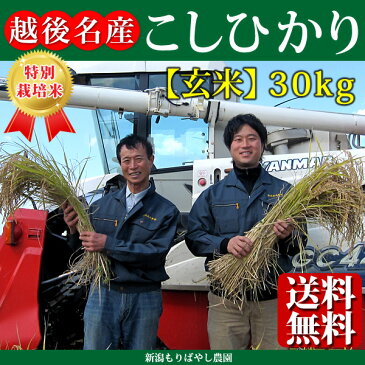 ★送料無料★こだわり特別栽培米コシヒカリ玄米30kg【もりばやし農園自家栽培】