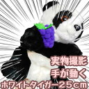 【パペットパンダ】置いてあるだけでも癒されるかわいい動物のパペットです。人気のモデルで、がぶっとかみつかせて遊びましょう。 小さなお子様のいるご家庭ならいくつあっても困らないおもちゃです。ペットとのコミュニケーションとしてもお使いいただけます。 パペットと遊びながら言葉を学んだり踊ったりしましょう。 【次回仕入れ未定】写真の商品は現品限り！ロットによって品質が異なります、写真の商品は在庫数がなくなったら再入荷予定ありません。確実にほしい方は今すぐ購入どうぞ。 【現品撮影・国内発送】現物撮影＋検品＋補修。海外製造ですが、国内のスタジオで日本人のカメラマンが現物で商品を撮影、スタッフが出荷時に検品と補修。 【使ってみた感想】この商品見た瞬間すぐ購入しました。やはり可愛いですね。ぬいぐるみが大好きで、日頃からぬいぐるみを交えて家族と団らんしています。 【仕様】25cm、色：白色、黒色。 実物をスマホと一眼レフ両方で撮影していますが、パソコン画面での色味と実物の色味は異なるので注意ください。 匂いが気になる場合は、陰干しすると多少軽減されます。内側はが蒸れにくい素材使っています。ペットと遊ぶのも可能ですが、犬と遊ぶ際は噛まれると結構いたいので注意してください。おまけで食べ物のぬいぐるみが付きます