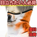 【翌日発送】犬 いぬ イヌ ハーフマスク コス 布 コスプレ 被り物 動物 18cm 子供大人対応 コスチューム お祝い ハロウィン プレゼント袋付【現品写真有】