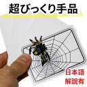 Spider And Net Magic マジック 手品 トランプから蜘蛛【解説有】