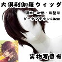 ウィッグ カツラ 大倶利伽羅 刀剣男子 国内・耐熱・調整可 ダークブラウン40cm