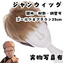 ウィッグ ジャン 進撃の巨人 耐熱 国内調整可 25cm【残3】