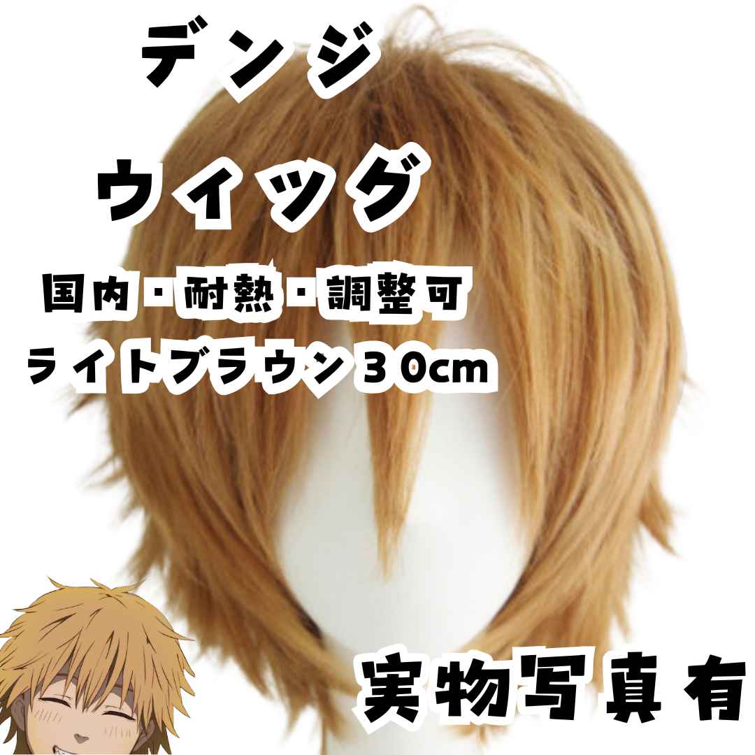 デンジ　ウィッグ　チェンソーマン　コスプレ　サラサラ　耐熱　国内30cm【残3】