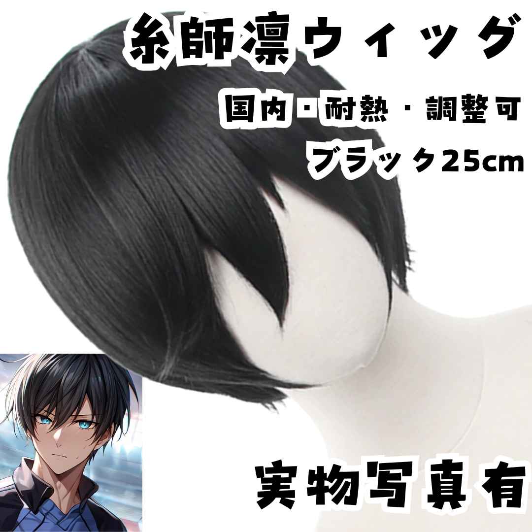 糸師凛 ウィッグ ブルーロック 耐熱調整可 ブラック 国内25cm【残3】