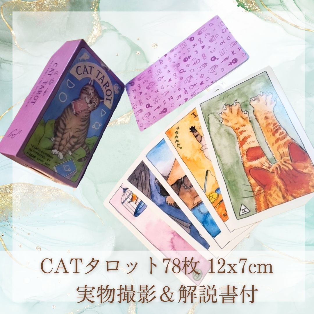 ͥåȡǭCAT襤ưʪ̡12cm 78ڻ3