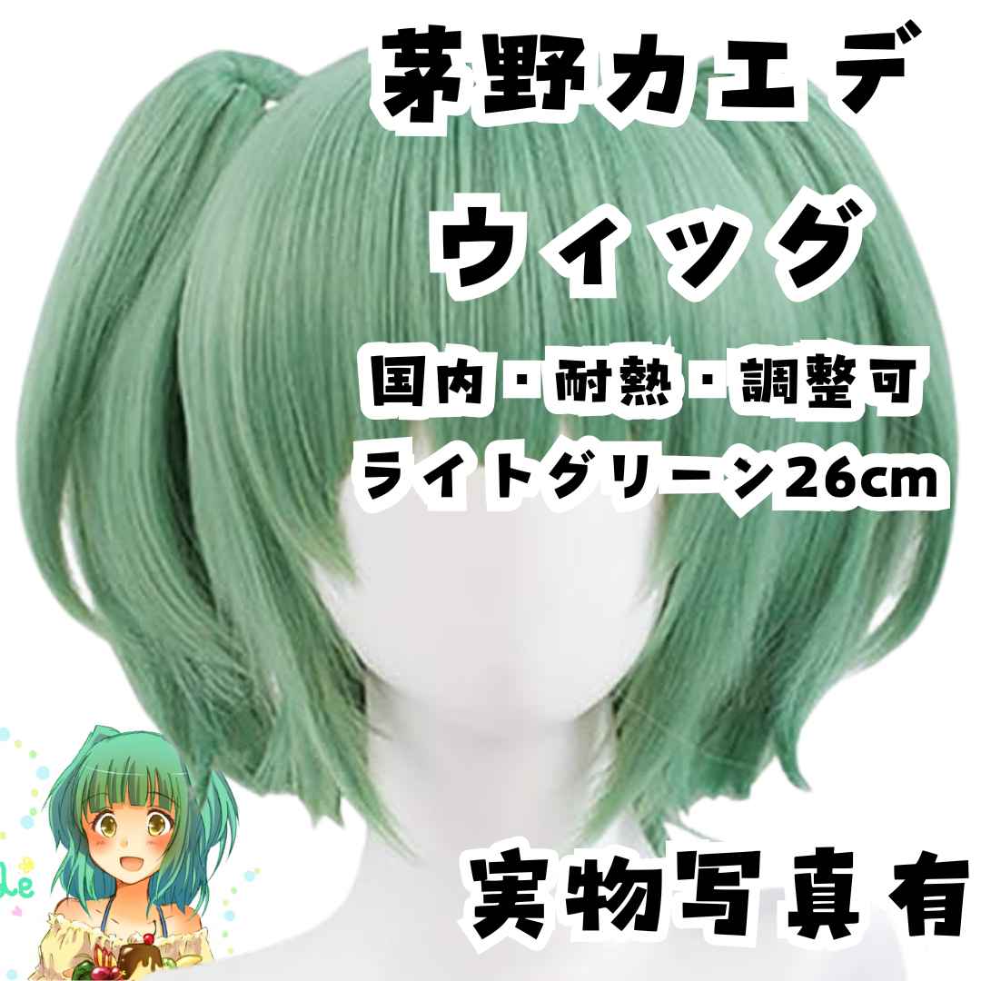 茅野カエデ　ウィッグ　暗殺教室　コスプレ　ツインテ　耐熱　国内26cm【残3】
