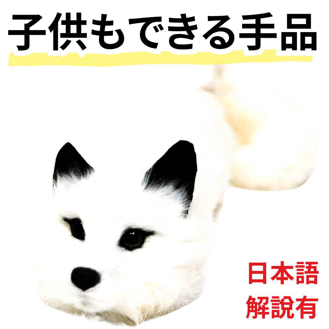楽天市場】ラッキー ラクーンの通販