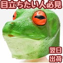 【翌日発送】マスク かえる カエル 蛙 マスクゴム コスプレ 被り物 動物 60cm 子供大人対応 コスチューム お祝い ハロウィン【現品写真有】