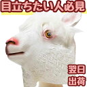 【翌日発送】マスク アルパカ あるぱか ヒツジ ひつじ マスクゴム コスプレ 被り物 動物園 60cm 子供大人対応 コスチューム お祝い ハロウィン【現品写真有】