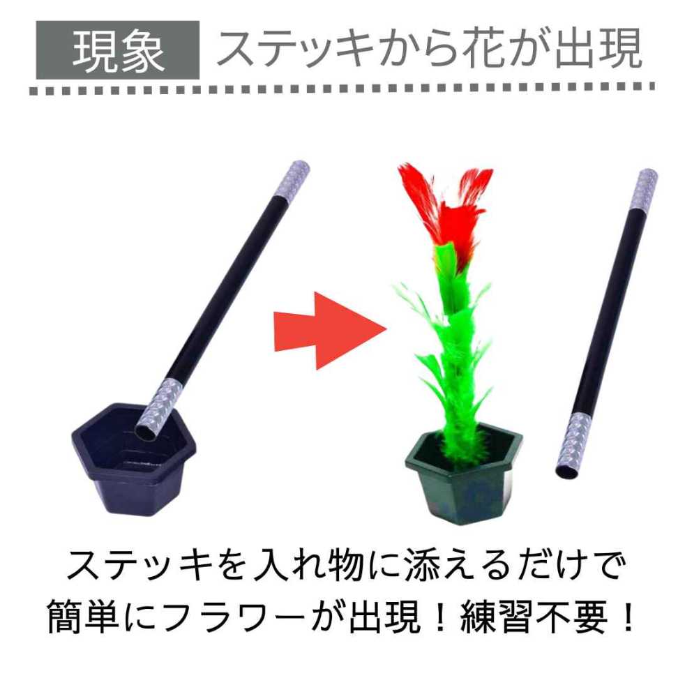 ��ư������ͭ�ۼ��ʥ��å� �ޥ��å� ���ƥå�to�ե� �󤬰�֤ǲ֡��֡���åɡ�3�� ��ܥ�����