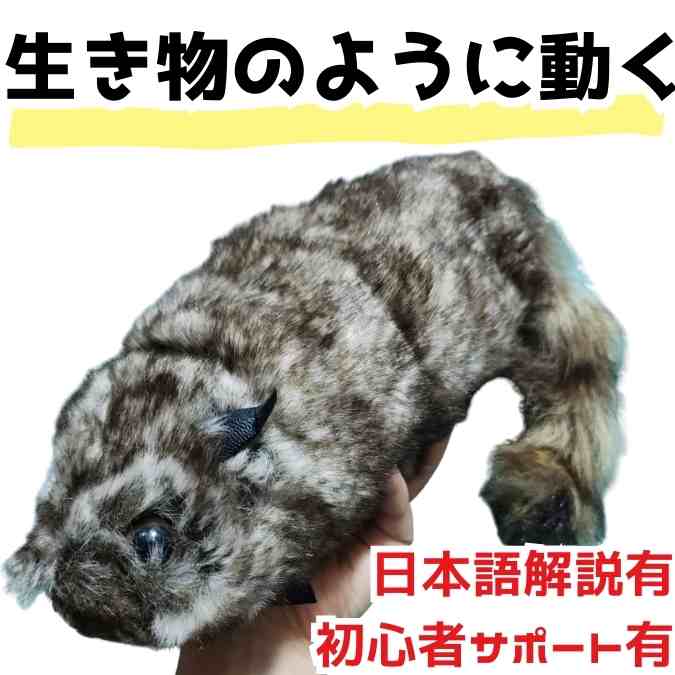 楽天市場】ラッキー ラクーンの通販