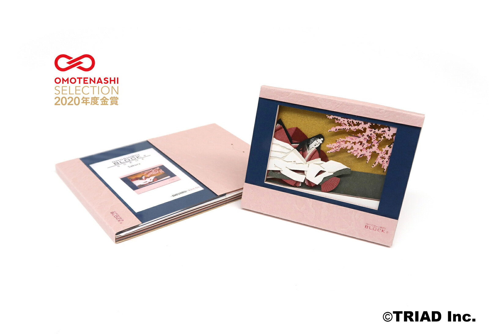 HananoIro 公式 OMOSHIROIBLOCK メモ帳 立体メモ 収納ケース付き 飾り物 インテリア プレゼント
