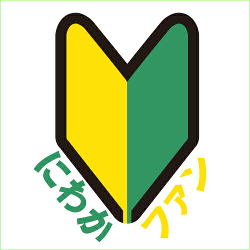 【送料無料 ポスト投函】にわかファン（ホワイト）初心者 スポーツ観戦 女子 キッズ トップス おもしろ tシャツ 半袖 ギフト プレゼント シンプル ルームウェア パジャマ ジム 大きいサイズ 男女兼用 ペア ファミリー 90 100 110 120 130 140 150 160 S M L XL XXL XXXL