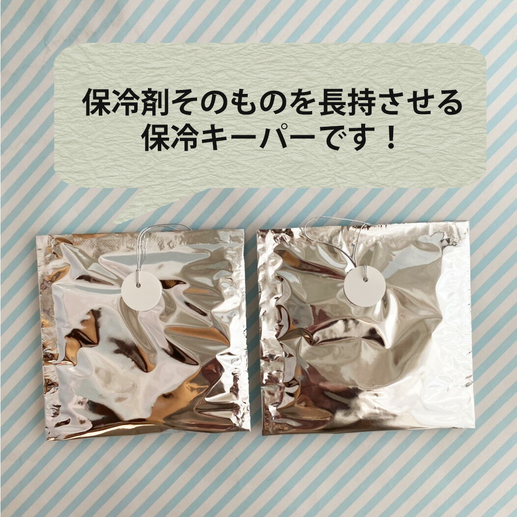 保冷キーパーМサイズ2枚セット【保冷剤が長持ちする新しい保冷袋/おもたせサーモパックです！】熱中症対 ...