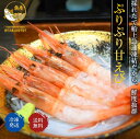 \2個購入で500円引/鬼盛り!甘エビ 1kg 送料無料 Mサイズ 甘海老 1kg ( 約100尾入 ) 海老 えび エビ 生 お刺身 おせち 年末年始 甘えび...