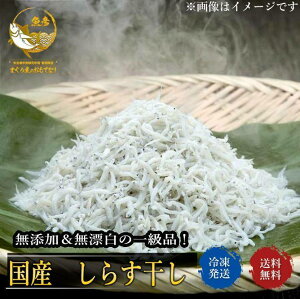 しらす干し 1kg 1キロ入り 送料無料 業務用 しらす シラス 産地 変わります 徳島 名産