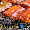 冷凍 うなぎ蒲焼き 特大 2尾 ギフト お歳暮 うなぎ 蒲焼き 鰻 ウナギ 一尾真空 個別真空