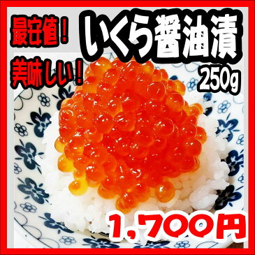 お中元　いくら醤油漬　250g　イクラ　鱒 お歳暮　ギフト　イクラ丼　大容量　訳あり　数量限定