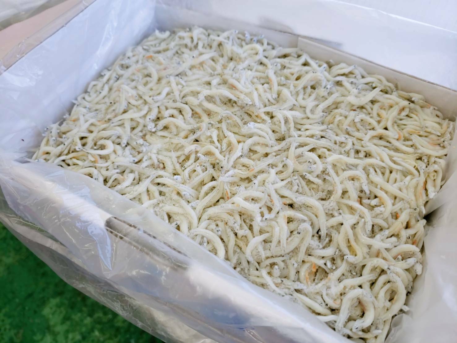 国産しらす干し 1kg 1キロ入り 送料無料 業務用 しらす シラス 産地 変わります 徳島 名産 omotenashi2017-10000152 魚彦ーまぐろ屋のおもてなしー サンプル画像2