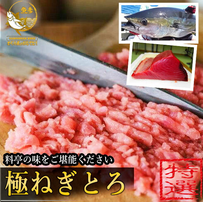 ＼2個購入で500円引／極みのネギトロ 1kg 極ネギトロ 冷凍 送料無料 高級ネギトロ まぐろ屋 激押 極上 プロ仕様 negitoro ねぎとろ マグロ maguro まぐろ 鮪 キハダ メバチ 贅沢