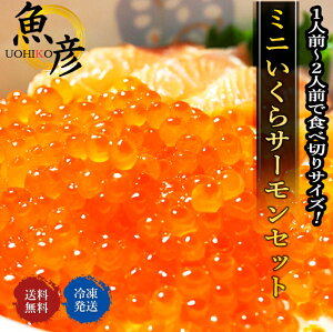 ミニいくら サーモン はらこ飯セット 送料無料 いくら醤油漬 イクラ トロサーモン 鮭 刺身 贈答 手巻き寿司 オメガ3脂肪酸 ギフト プレゼント　お取り寄せグルメ　漁師飯