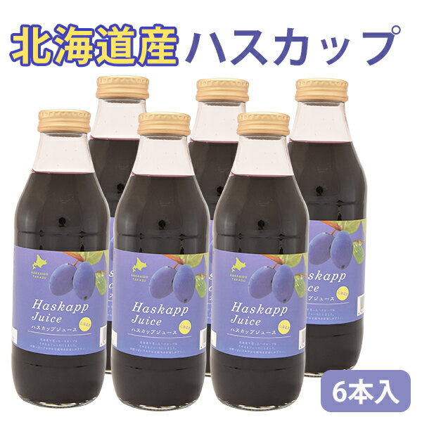 お歳暮 北海道産 ハスカップジュース 500ml 6本 バイオアグリたかす ギフト のし対応可 冬ギフト