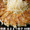 特選はままつ餃子 60個入り 浜松名物 ギフト のし対応可