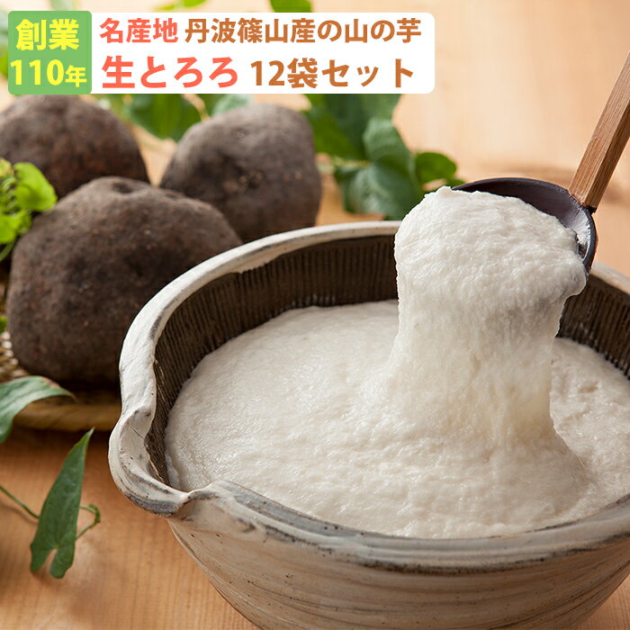 【楽天1位】丹波篠山産 山の芋 生とろろ1箱 YS60(60g×12袋) 山芋 河南勇商店 ギフト のし対応可