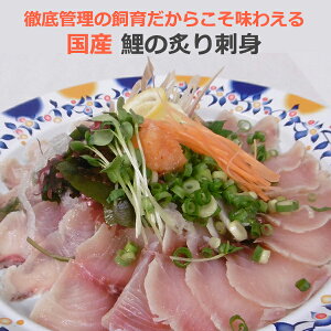 【楽天1位】国産 鯉のあぶり刺身100g×3 コモリ食品 ギフト のし対応可