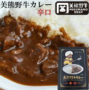 熊野牛カレー 辛口 画像1