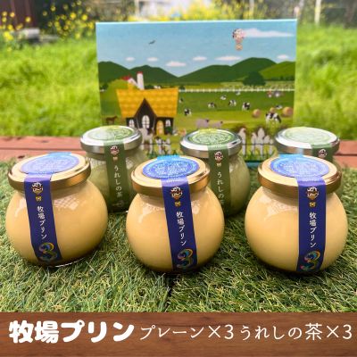 楽天ベストセレクト専門店・本音生活2025 お中元 牧場プリン3（3個入り）牧場プリンうれしの茶（3個入り） 無添加、無着色、無香料 低温殺菌 大富牧場フライングカウ 【日付指定は不可】 夏ギフト