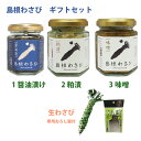 お歳暮 島根わさび ギフトセットC (わさび醤油漬、わさび粕漬、わさび味噌、生ワサビ、おろし器) 約2年じっくり育てたワサビ使用 フロンティア日原 ギフト のし対応可