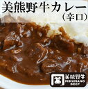 熊野牛カレー 辛口 画像2