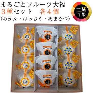 一福百果 フルーツ大福3種セット(まるごとみかん大福・はっさく大福・あまなつ大福 各4個)計12個入【愛媛県今治にある和菓子屋 清光堂】