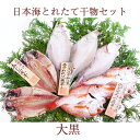 2025 お中元 日本海とれたて干物セット 大黒(だいこく) (島根県沖) のどぐろ・あじ・白かれい 国産 島根産 無添加 岡富商店 -おかとみ- ギフト のし対応可 夏ギフト