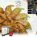 お歳暮 交野はらだや 天の川 よし生ぎょうざ 6パック ギフトボックス入りセット 無添加 国産素材 ギフト のし対応可 冬ギフト
