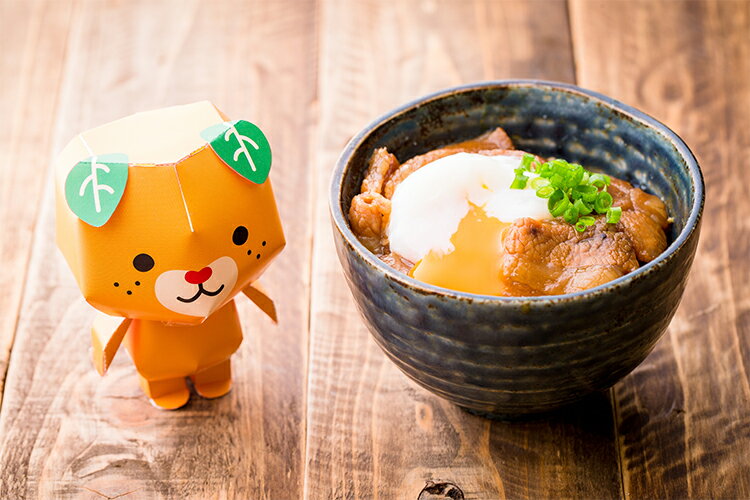 ふれ愛・媛ポーク 豚丼 2種6袋 （甘味、辛味　各100g） かどや精肉店 媛ポーク 3