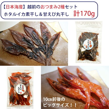 越前のおつまみ 100g×2種セット（ホタルイカ素干し、甘えび丸干し） ヤマゴ 乾物 珍味【ネコポスでお届け◇日時指定不可】