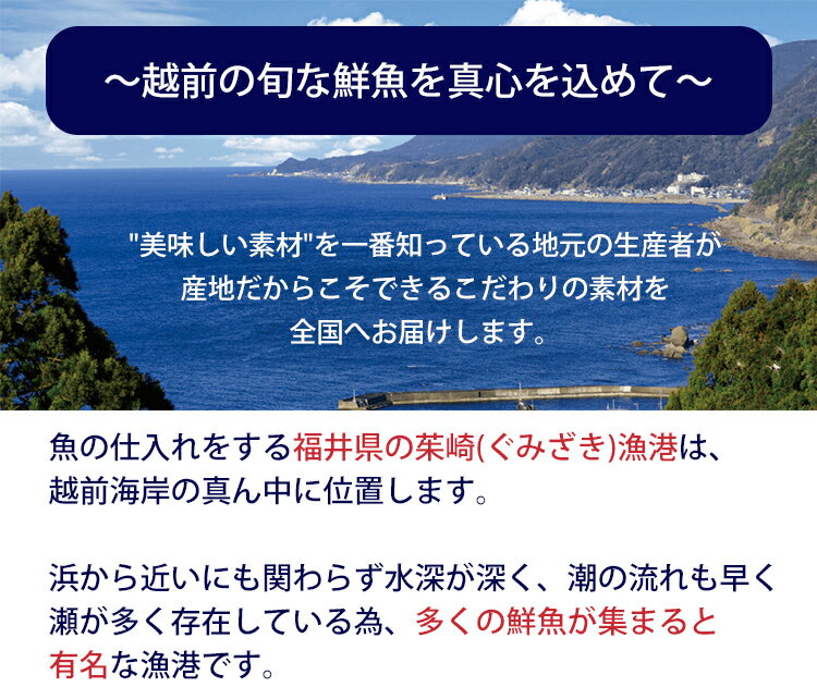 越前のおつまみ 100g×2種セット（ホタルイカ素干し、甘えび丸干し） ヤマゴ 乾物 珍味【ネコポスでお届け◇日時指定不可】