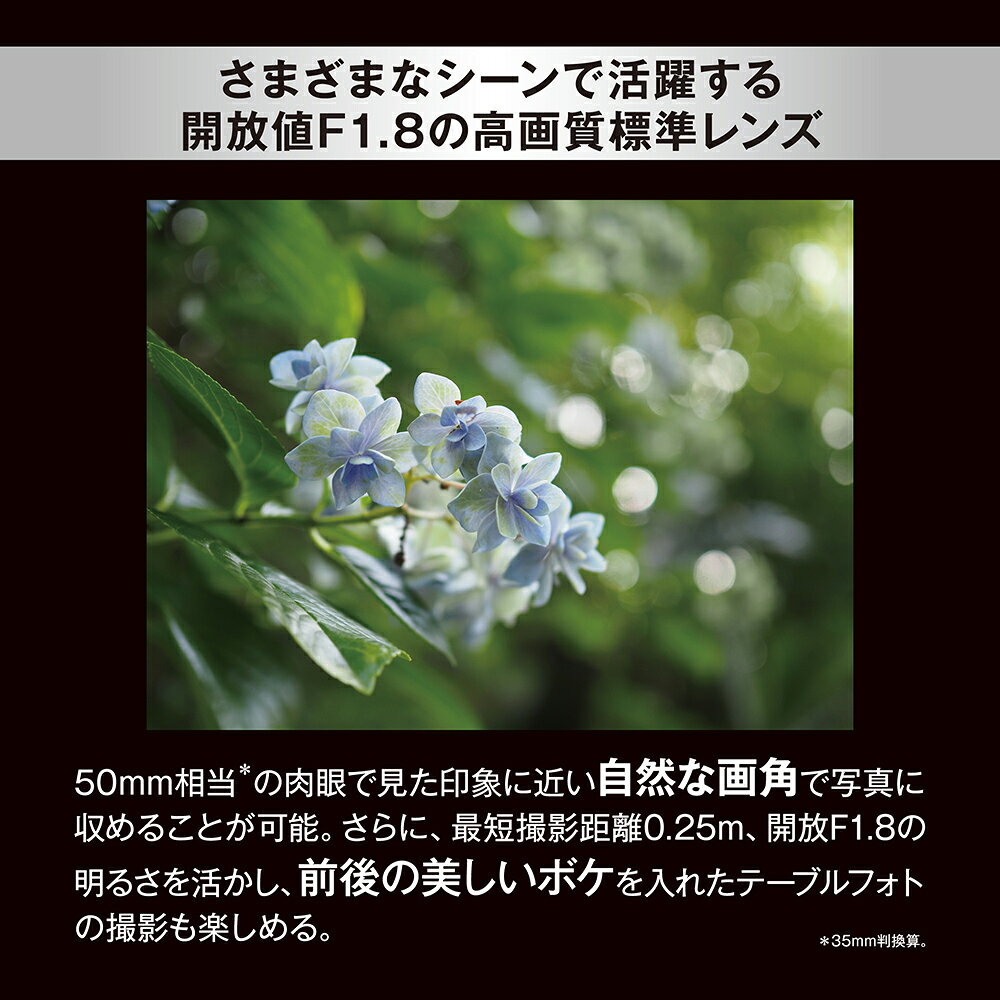 ��3ǯ�ݾڡ� M.ZUIKO DIGITAL 25mm F1.8 II ñ������� ������� �ۥ��� �� ���� ���� ��� ���� OM SYSTEM