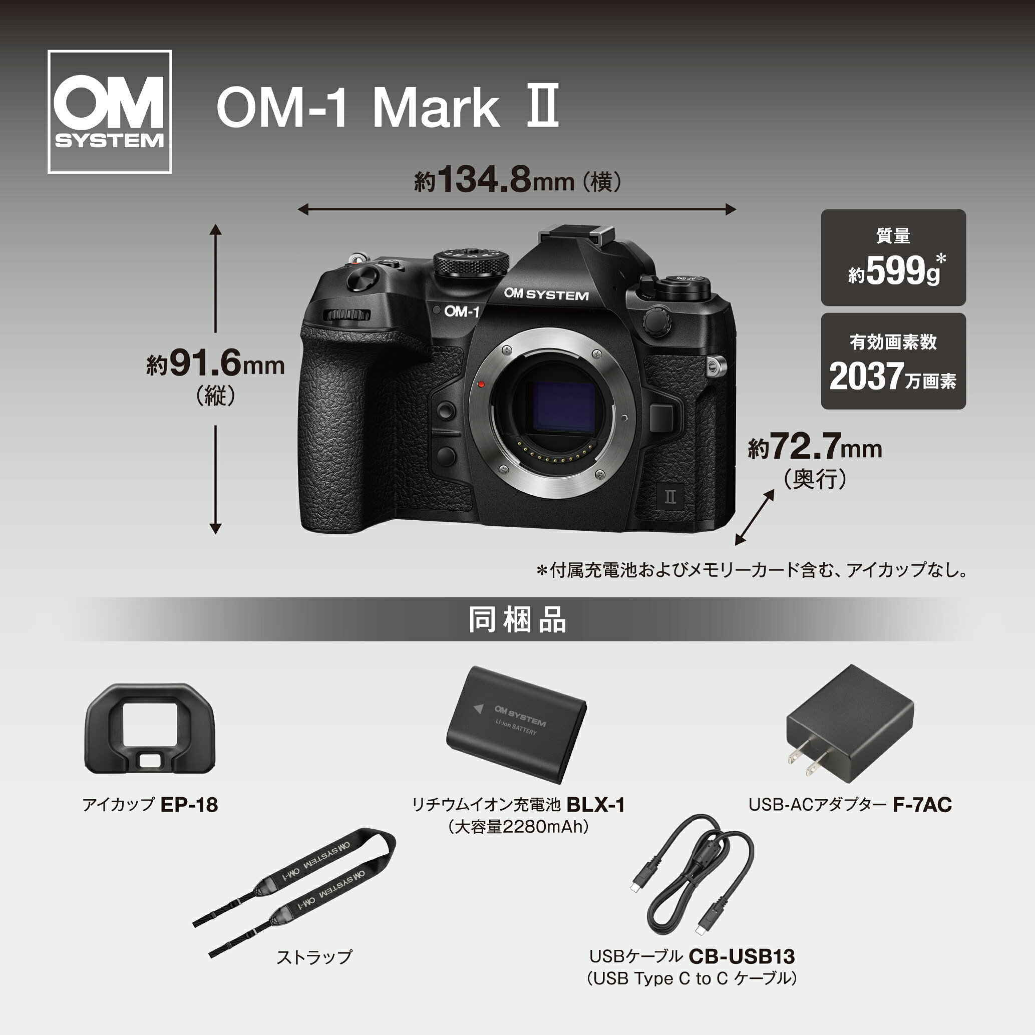 【10000円キャッシュバック対象★】 OM-1 Mark II ボディー ミラーレス カメラ 一眼カメラ 野鳥撮影 防塵 防滴 手ぶれ補正 OM SYSTEM オーエムシステム 【3年保証】 omsystem-official-10000121 OM SYSTEM 公式ストア サンプル画像3
