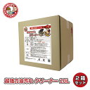 超強力油汚れクリーナー20L 2箱セット