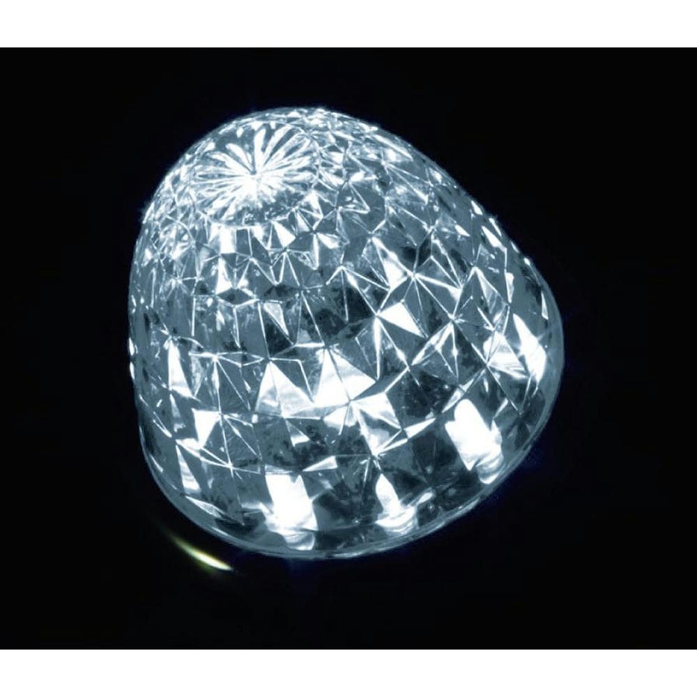 メーカー直送 ジェットイノウエ クイーン スターライトバスマーカーランプ クリアレンズ ホワイト 5326..